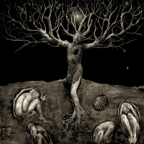 A Drop of Light封面