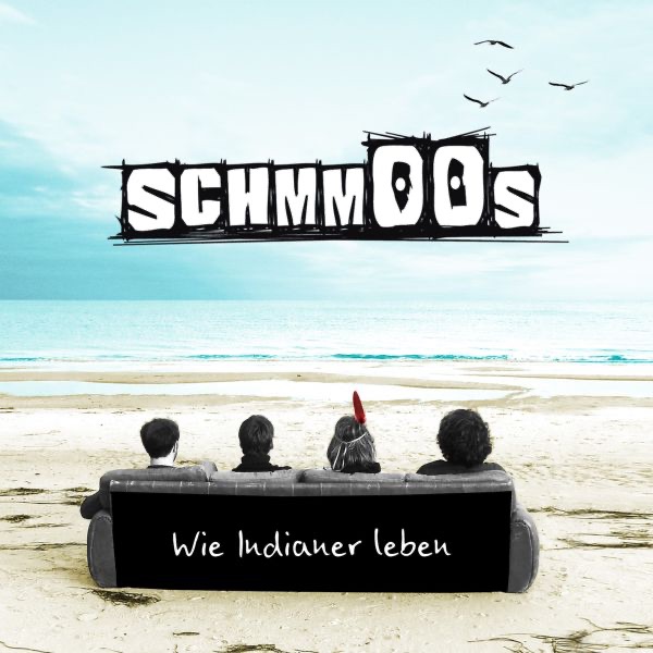 Wie Indianer leben封面