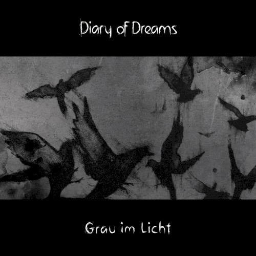 Grau im Licht封面
