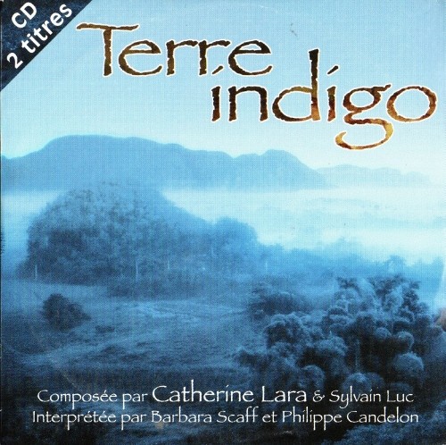 Terre indigo封面