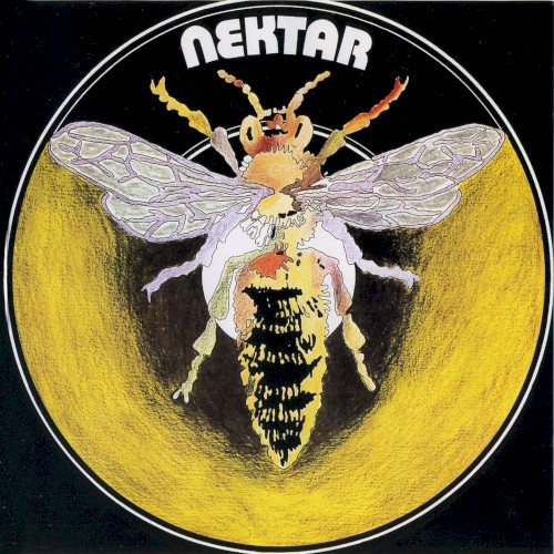 Nektar封面