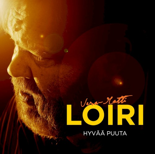 Hyvää puuta封面