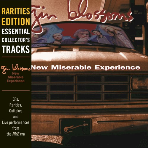 New Miserable Experience: Rarities Edition封面