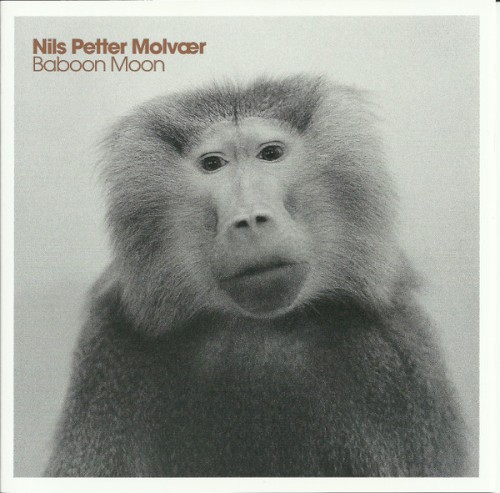 Baboon Moon封面