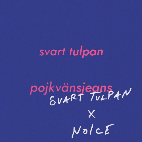 Pojkvänsjeans (Svart Tulpan x NoIcE)封面