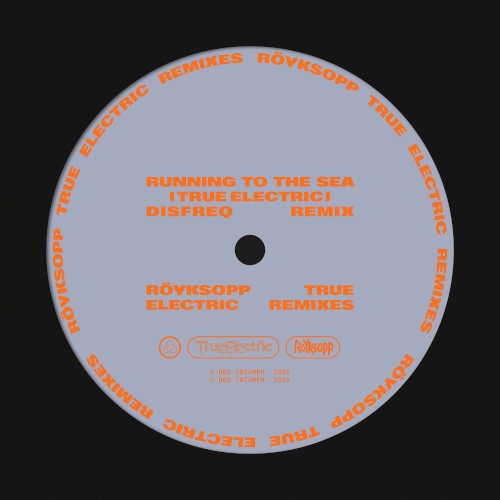 Running to the Sea (Disfreq remix)封面