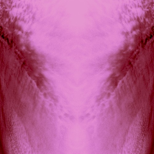 Raw Spectacle (Pantha Du Prince Remix)封面