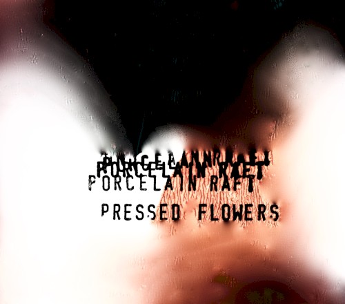 Pressed Flowers封面