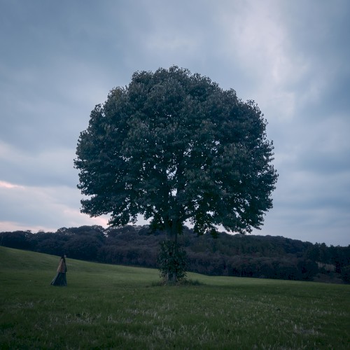 A Walk in the Woods (Original Motion Picture Soundtrack)封面