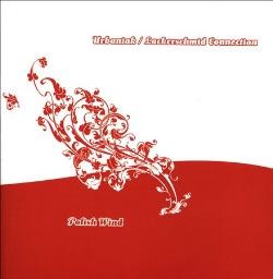 Polish Wind封面