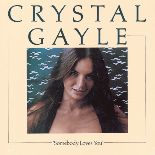 Somebody Loves You封面