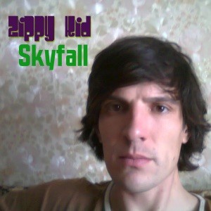 Skyfall封面
