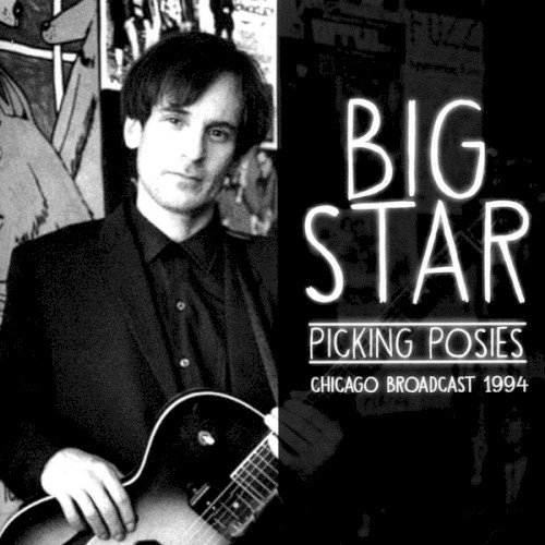 Picking Posies封面