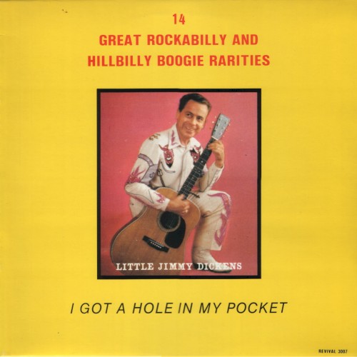 I Got A Hole In My Pocket: Great Rockabilly and Hillbilly Boogie Rarities封面