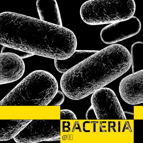 Bacteria封面