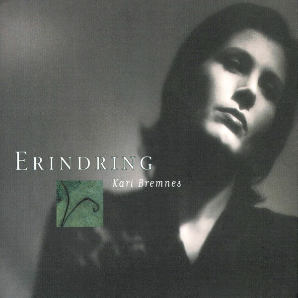 Erindring封面