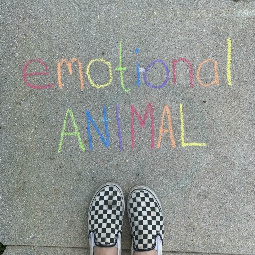 Emotional Animal封面