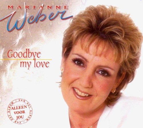 Goodbye My Love封面