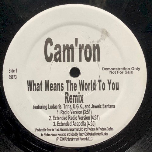 What Means the World to You (remix)封面