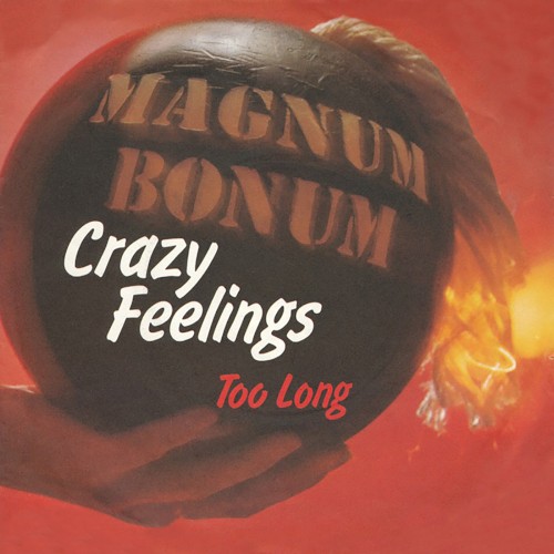 Crazy Feelings封面