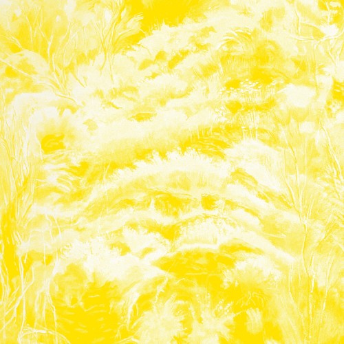 In the Half Light (instrumental)封面
