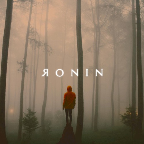 Ronin封面