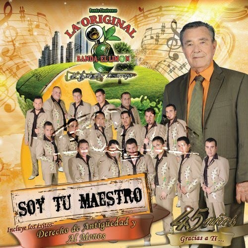 Soy tu maestro封面