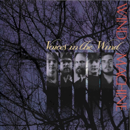Voices in the Wind封面