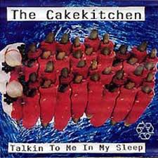 Talkin to Me in My Sleep封面