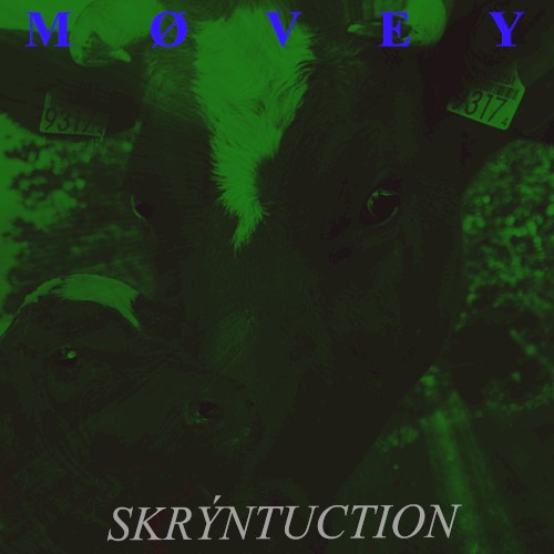 Skrýntuction封面