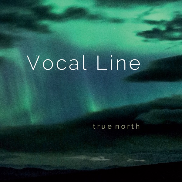True North封面