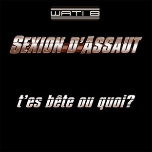 T'es bête ou quoi ?封面