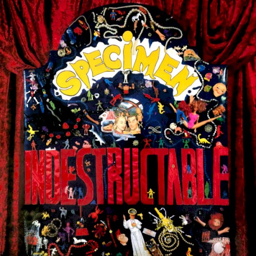 Indestructable封面