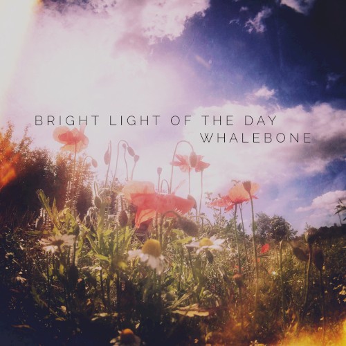 Bright Light of the Day封面