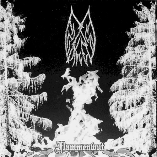 Flammenwut / Aesthetics of the Necromantic Manifestation / The Unholy封面