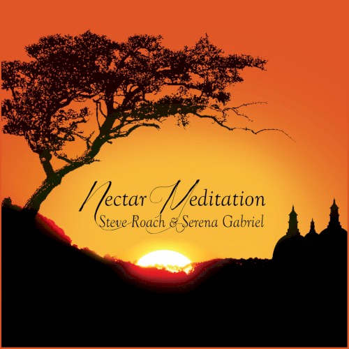 Nectar Meditation封面