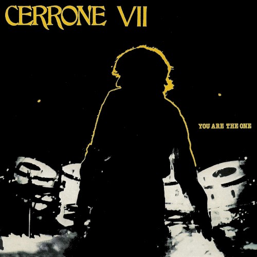VII: You Are the One封面