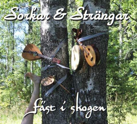 Fäst i skogen封面