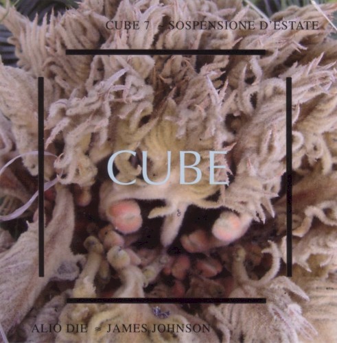 Cube 7: Sospensione d'estate封面