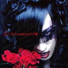Schwarzschild封面