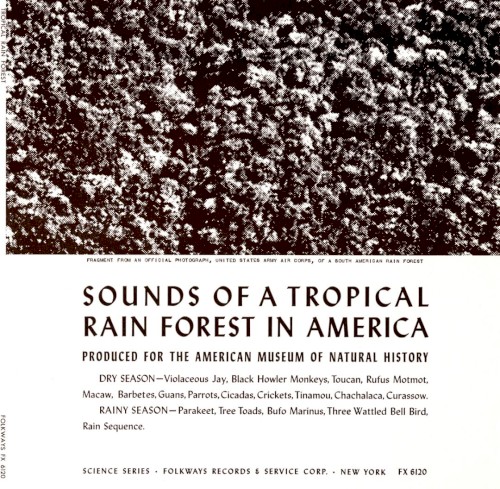 Sounds of a Tropical Rain Forest in America封面
