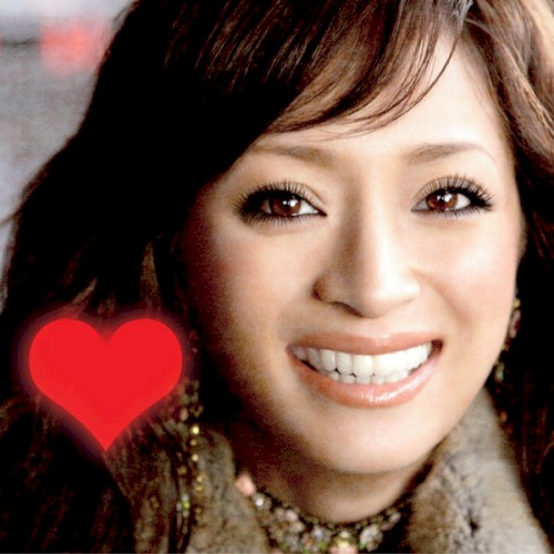 (miss)understood封面