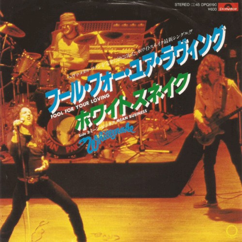 Fool For Your Loving = フール・フォー・ユア・ラヴィング封面