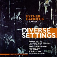 Diverse Settings封面