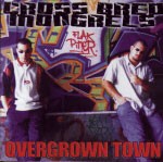Overgrown Town封面