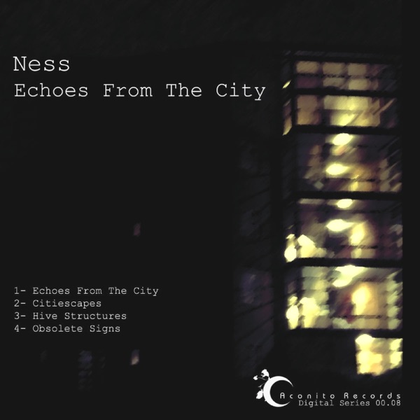 Echoes from the City封面