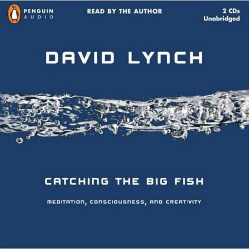Catching the Big Fish: Meditation, Consciousness, and Creativity封面