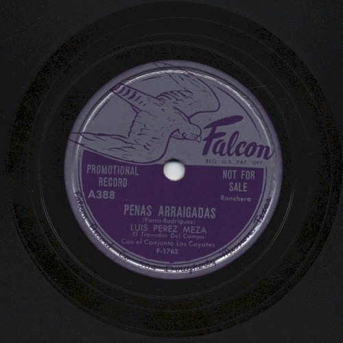 Penas arraigadas / A Jorge Negrete封面