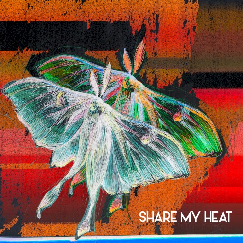 Share My Heat封面