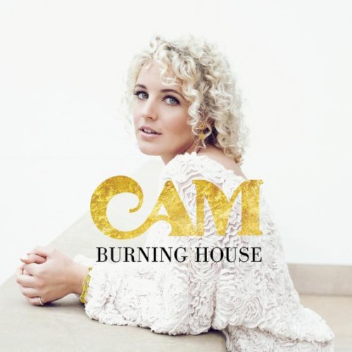 Burning House封面